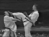 Kyokushin KOs